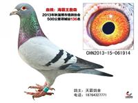 鿴øϸ..