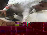 �����к컨�����Ÿ�Э��