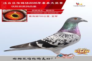 �ຣ��700�����Ǿ�