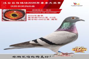 ǧ������