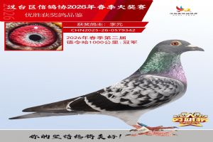 ǧ����ھ�
