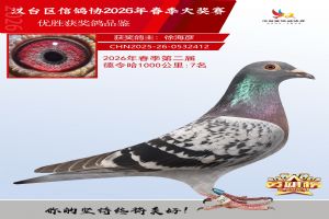 ǧ����7��
