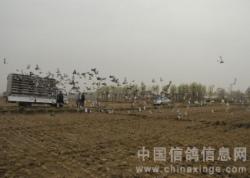 绯ŸЭ600С򱭡ͼ