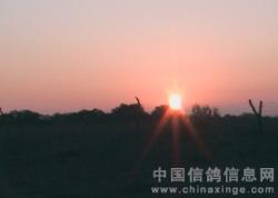 ɹźͺŸЭ＾400˾ͼƬ