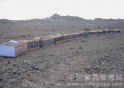 2011³Ÿ뾺衰ɽڡŷɵ㣨ͼ