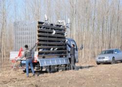 绯ŸЭ2012괺100Ԥͼ