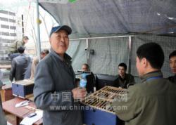 绯ŸЭ2012괺С򡱱600ͼ