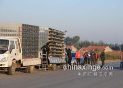 绯ŸЭ2012＾400ѵſͼ