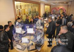 绯ŸЭ2012ܽᡢ佱1ͼ