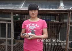 2013괺500һվǰʮƬ