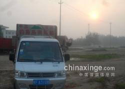 ŸЭ120̨վر꼰ŷƬ