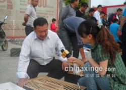 2013괺ŸЭᡰ뼰̨ɷû