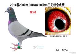 2014괺ܱ500񽱸ͼƬ