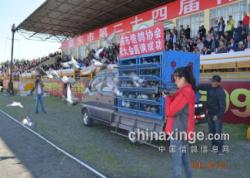 ʡضŸЭףжʮĽ˶Բɹ