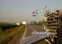 ͷˮֻ15괺رȻ˫ظ񽱸뻨ͼƬ