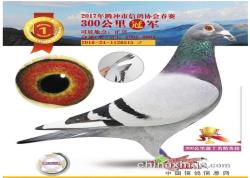 2017괺3001-10ͼƬ֣