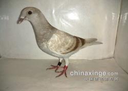 ŸЭ＾رȻ500ԪӢƬһ