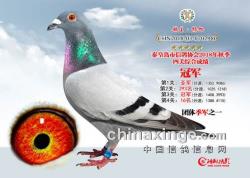 2018＾رȻĹۺϻ񽱸1-30