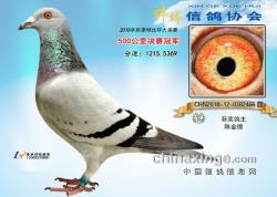 ŸЭ2018＾500رȻǰ20չʾ