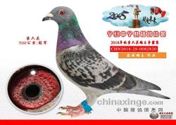 2018＾ŸЭ500ǰ񽱸