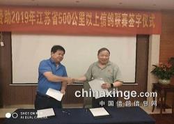 ꡱ2019꽭ʡ500Ÿǩֻݾ