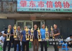 ʡضŸЭ2019괺ۺϰ佱Ƭ