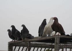 УظϵͳرȻ㻷رȻ ҷģʽ֪ͨ