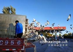 Ǻ108100 ѵŴ7.05С7:10ط