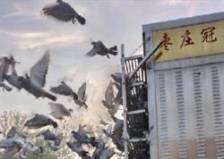 ׯŸЭ2021＾200KMվֱַ