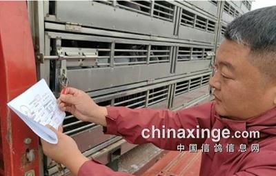 ɽŸЭ2025＾رȻؿ֪ͨ