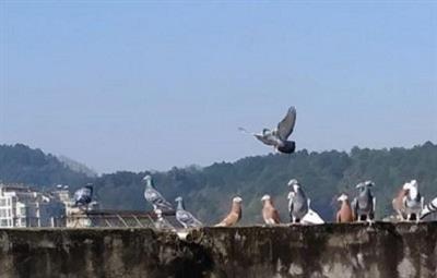 2026����߽��رȻ��Ĺظ����������(�ݰ�)