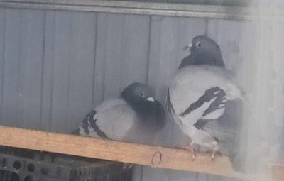 2026���Ĺ����³�