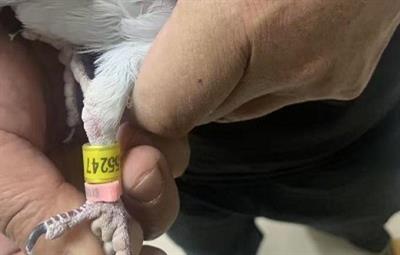 ����26��4��5��340�����������ǰʮ