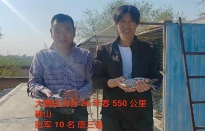 ���ׯ��� 26 �괺 550 ����ȷɽ��� 3-4 ǰʮ������