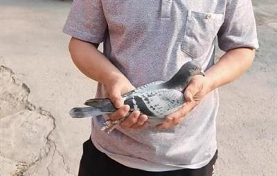 �����Ÿ�Э�� 500����»���1-5�����ͼƬ